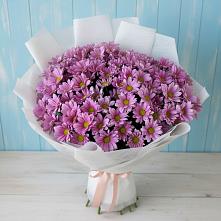 Букет сиреневая охапка в Абакане Букет цветов из:  Хризантемы в Абакане