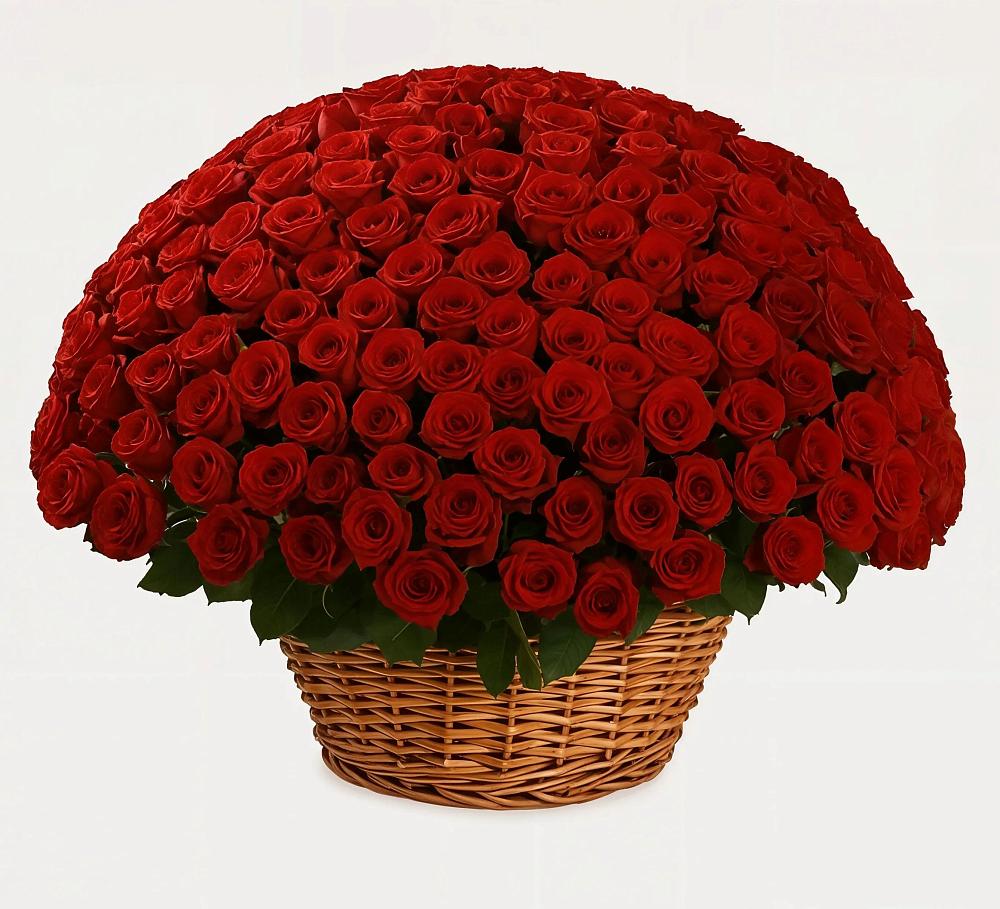 251 Премиум красная роза в Абакане Премиум букет из: Розы в Абакане