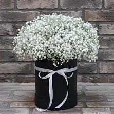 Цветочная композиция из Гипсофила в шляпной коробке в Абакане